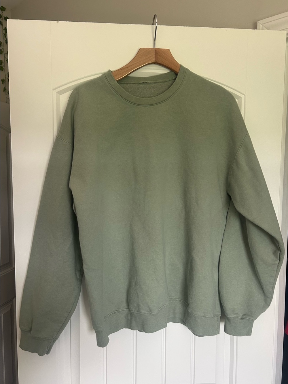 Men's Sage Green Crewneck Sweater